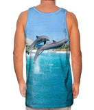 Jumping Dolphin