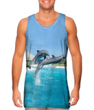 Jumping Dolphin