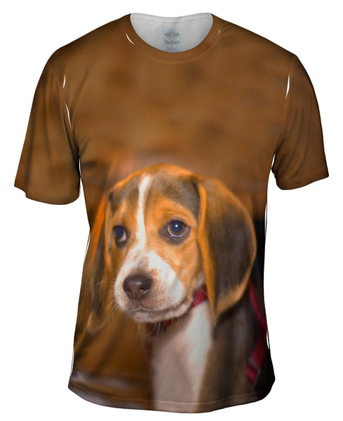 Innocent Beagle Mens T-Shirt