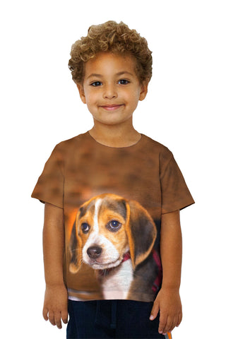 Kids Innocent Beagle