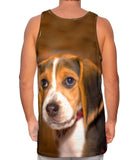 Innocent Beagle