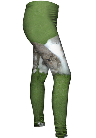 Bunny Rabbit Friends