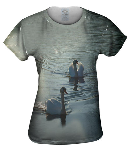 Two Swans Swim
