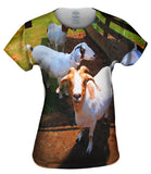 Goat Convention