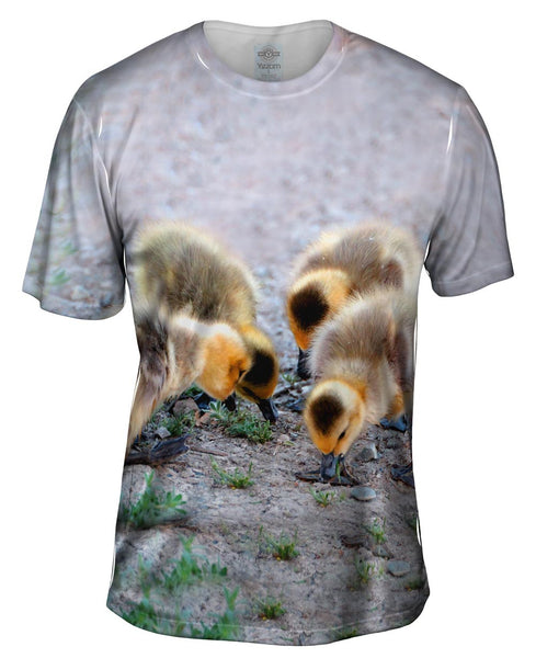 Little Goslings Feeding Mens T-Shirt
