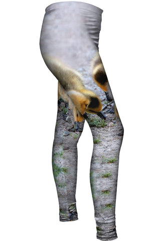 Little Goslings Feeding