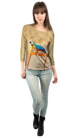 Chair Macaw Parrot
