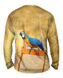 Chair Macaw Parrot