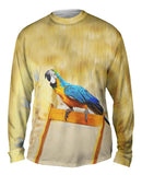 Chair Macaw Parrot