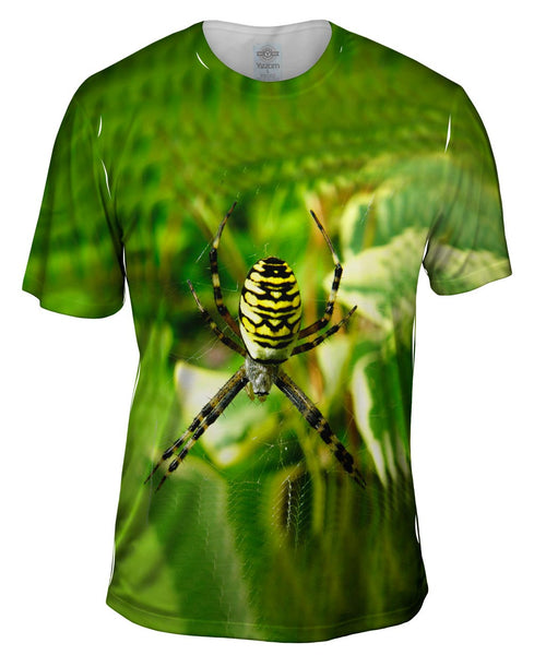 Wasp Spider At Rest Mens T-Shirt