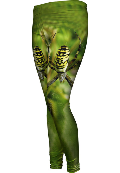 Wasp Spider At Rest&nbsp;Womens Leggings