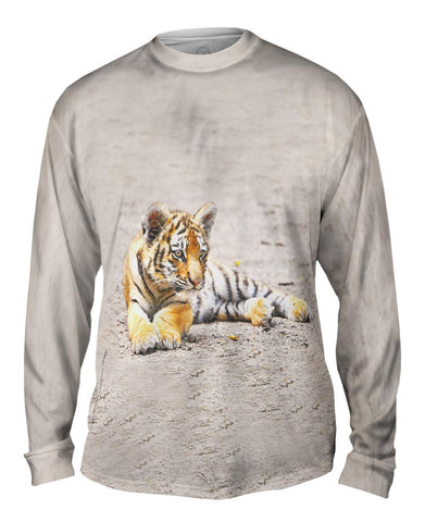 Little Tiger Peek