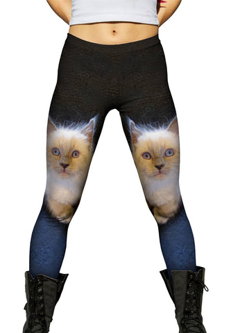 Fluffy Kitty Cat Stare