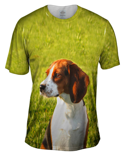Brown Eared Beagle Regal Mens T-Shirt