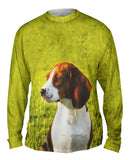 Brown Eared Beagle Regal