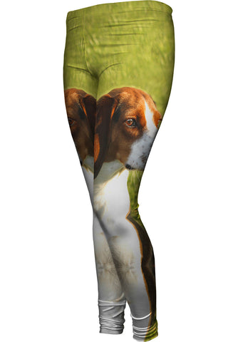 Brown Eared Beagle Regal