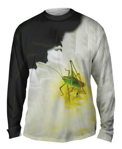 Grasshopper Waiting