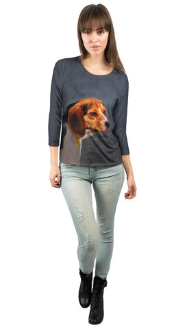 Dumbo Eares Beagle