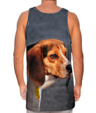 Dumbo Eares Beagle