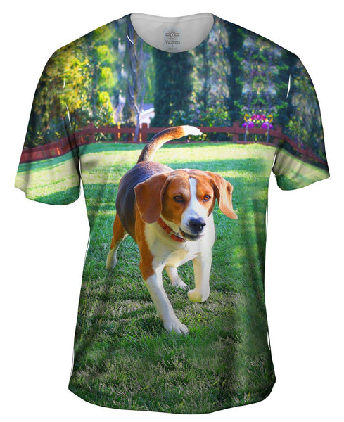 Beagle In Action Mens T-Shirt