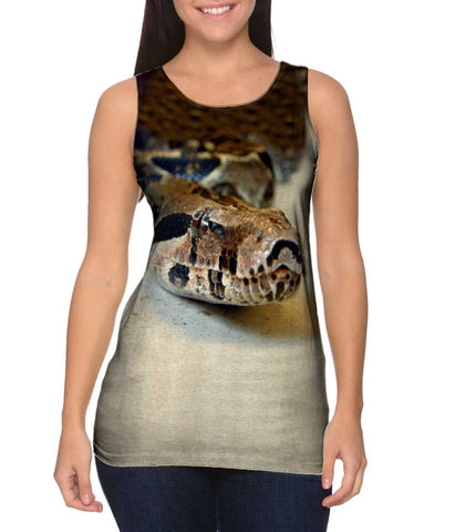 Python Slithering Snake