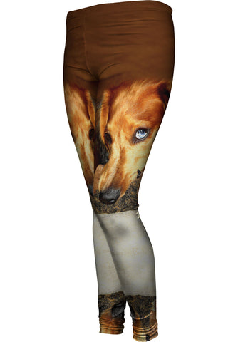 Dachshund With Chew Toy