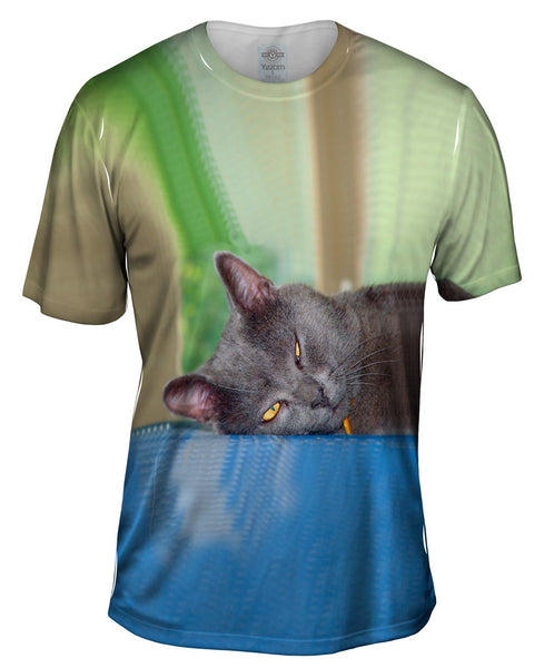 Grey Cat Napping Mens T-Shirt