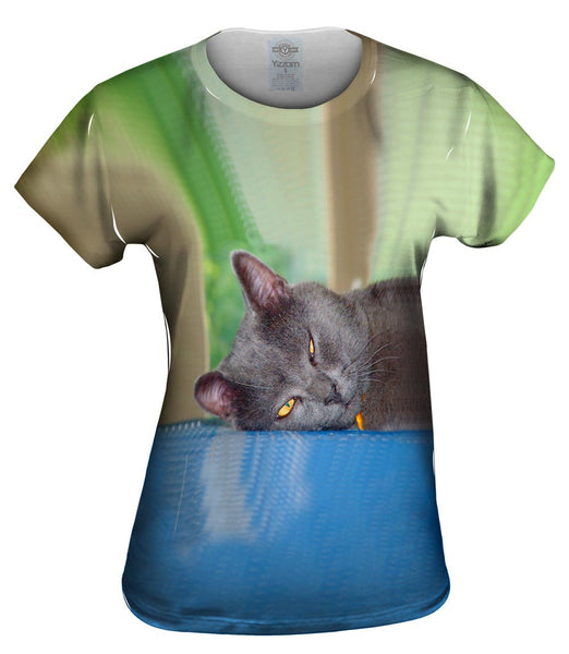 Grey Cat Napping Womens Top