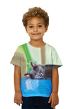 Kids Grey Cat Napping