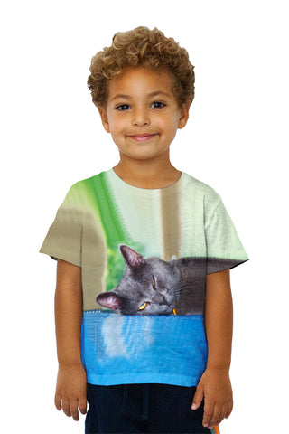 Kids Grey Cat Napping