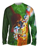 Golden Lab Tug O War