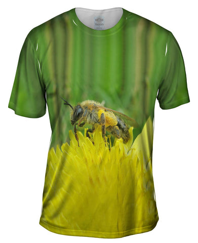 Big Bee Furry