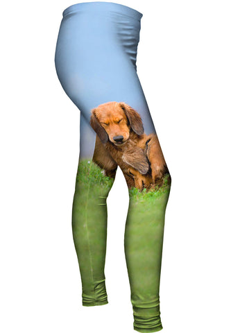 Dachshunds Fuzzy Hug