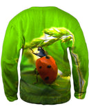 Pull Ups Ladybug