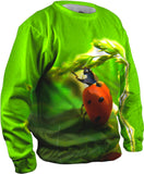 Pull Ups Ladybug
