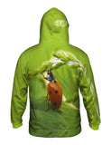 Pull Ups Ladybug