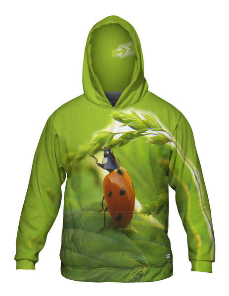 Pull Ups Ladybug&nbsp;Mens Hoodie Sweater