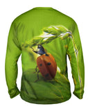 Pull Ups Ladybug