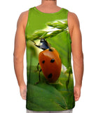Pull Ups Ladybug