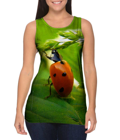 Pull Ups Ladybug