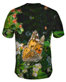 Painted Butterfly Out For A Stroll