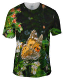 Painted Butterfly Out For A Stroll