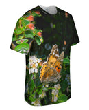 Painted Butterfly Out For A Stroll