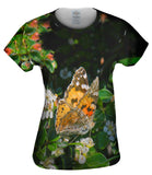 Painted Butterfly Out For A Stroll