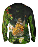 Painted Butterfly Out For A Stroll