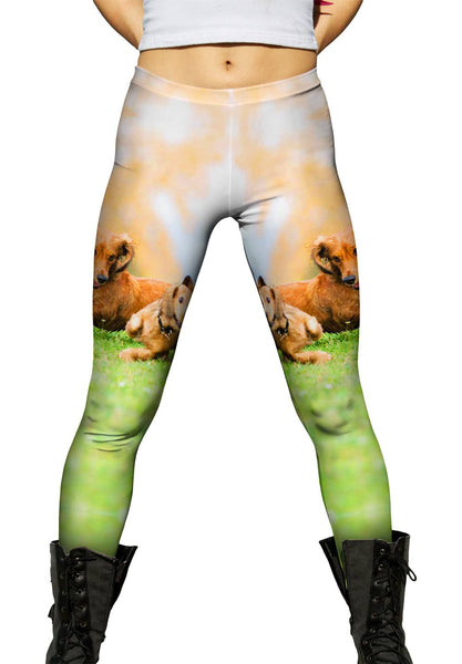 Great Dachshund Race&nbsp;Womens Leggings