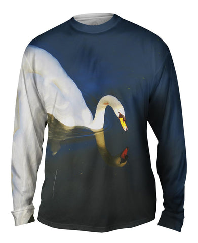 Pretty Swan Lake