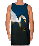 Pretty Swan Lake