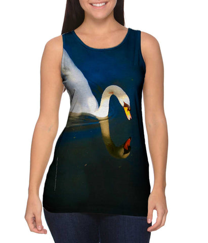 Pretty Swan Lake