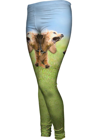 Dachschund Disagreement